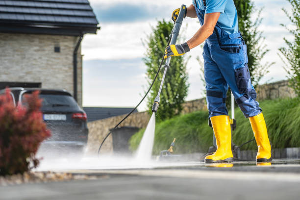Animal Enclosure Cleaning in Bellevue, WA